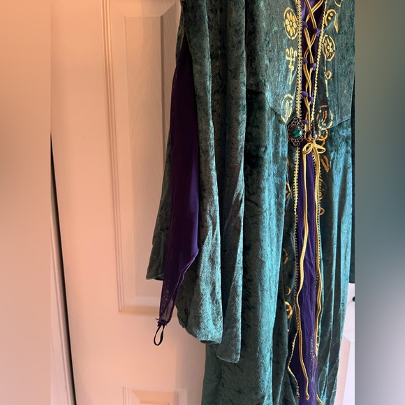 Winifred Sanderson Hocus Pocus Halloween Costume Adult Medium - Picture 4 of 16